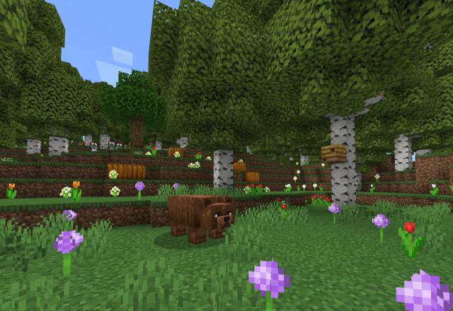Forest-Sky Texture Pack preview. Minecraft landscape and forest surrounding the player in cartoon'ish style.